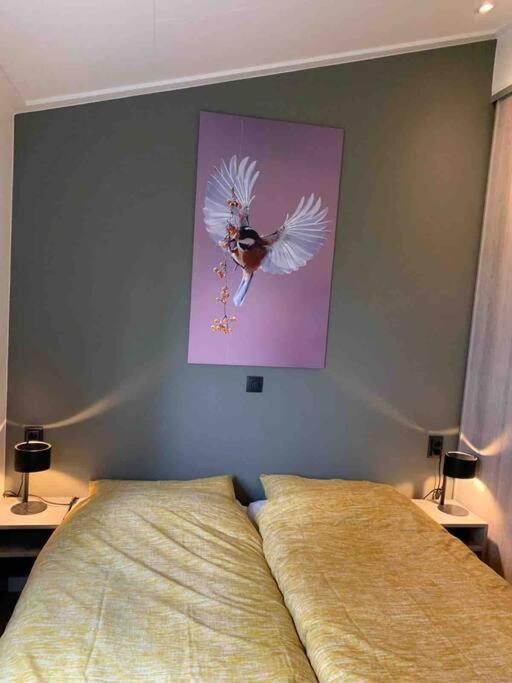 Nieuw! 6-Persoons Chalet Aan Het Veluwemeer Dichtbij Harderwijk, Amersfoort En Zwolle Villa Hulshorst Ngoại thất bức ảnh